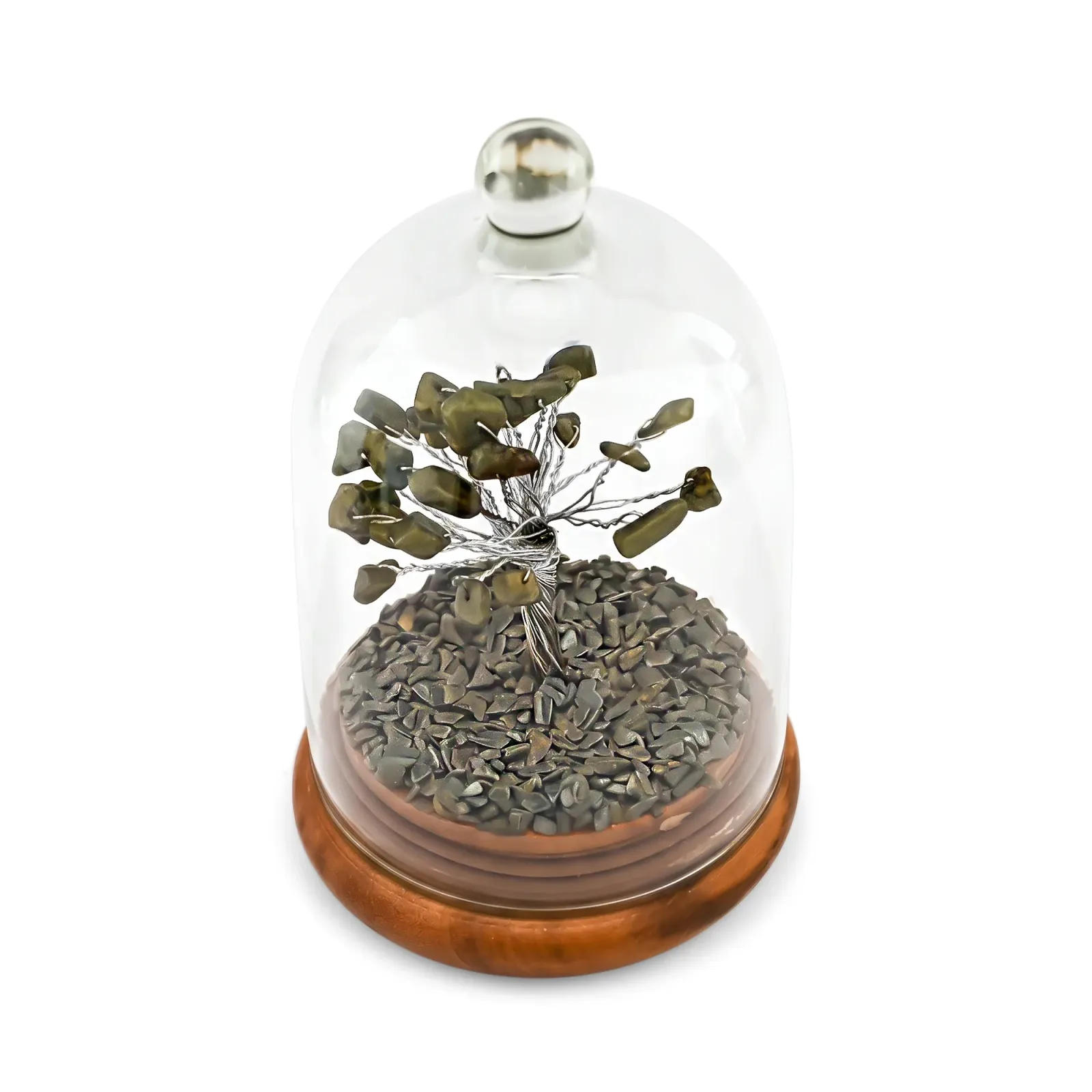 Pyrite Money Tree in Glass Dome